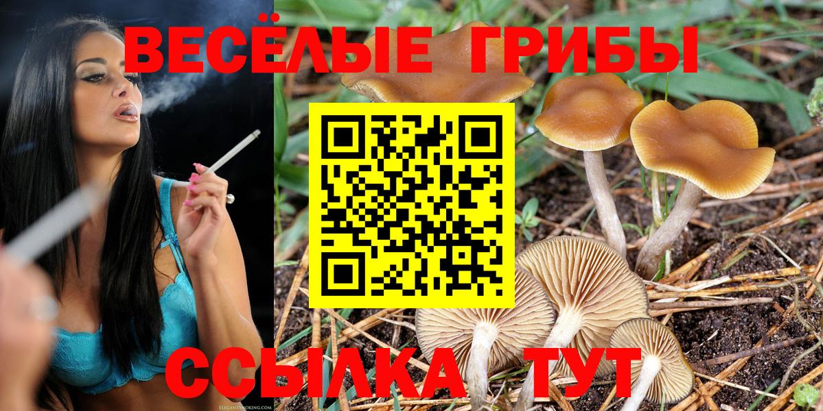 Галлюциногенные грибы Psilocybine cubensis Гагарин