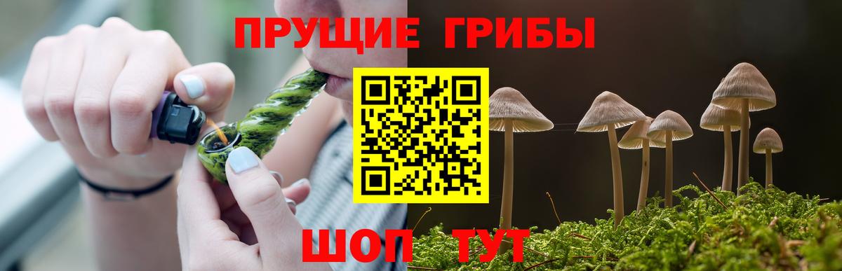 Псилоцибиновые грибы Cubensis  Псилоцибиновые грибы MAGIC MUSHROOMS  Гагарин  Вход с VPN 